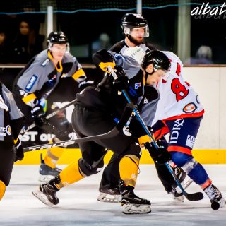 ALBATROS DE BREST VS LES VIPERS DE MONTPELLIER 22/09/18 - © Marion BESCOND
