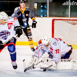 ALBATROS DE BREST VS LES VIPERS DE MONTPELLIER 22/09/18 - © Marion BESCOND