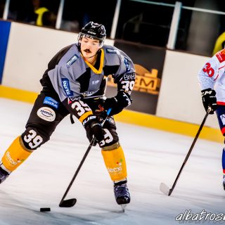 ALBATROS DE BREST VS LES VIPERS DE MONTPELLIER 22/09/18 - © Marion BESCOND