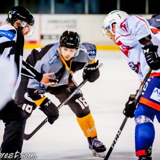 ALBATROS DE BREST VS LES VIPERS DE MONTPELLIER 22/09/18 - © Marion BESCOND