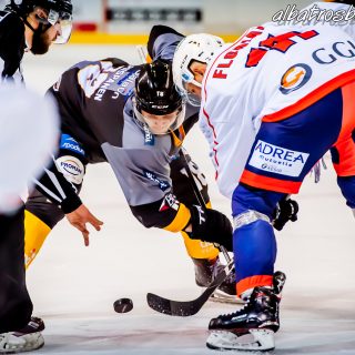 ALBATROS DE BREST VS LES VIPERS DE MONTPELLIER 22/09/18 - © Marion BESCOND