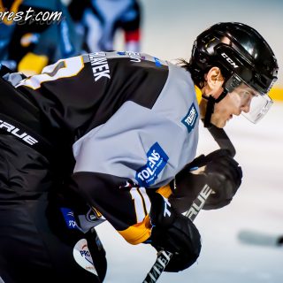 ALBATROS DE BREST VS LES VIPERS DE MONTPELLIER 22/09/18 - © Marion BESCOND