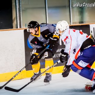 ALBATROS DE BREST VS LES VIPERS DE MONTPELLIER 22/09/18 - © Marion BESCOND