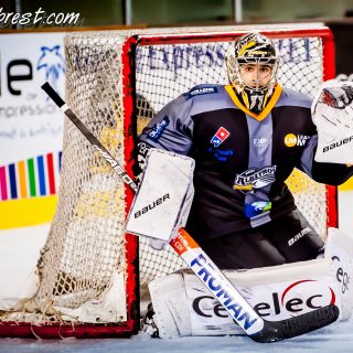 ALBATROS DE BREST VS LES VIPERS DE MONTPELLIER 22/09/18 - © Marion BESCOND