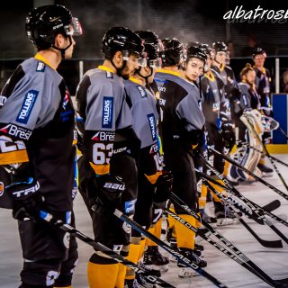 ALBATROS DE BREST VS LES VIPERS DE MONTPELLIER 22/09/18 - © Marion BESCOND