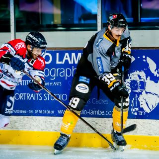 ALBATROS DE BREST VS ANGERS 23/10/18 - COUPE DE FRANCE - © Marion BESCOND