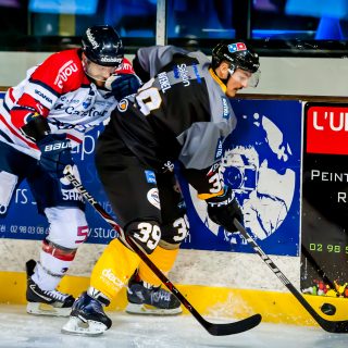 ALBATROS DE BREST VS ANGERS 23/10/18 - COUPE DE FRANCE - © Marion BESCOND