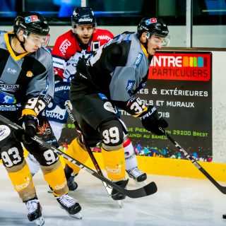ALBATROS DE BREST VS ANGERS 23/10/18 - COUPE DE FRANCE - © Marion BESCOND