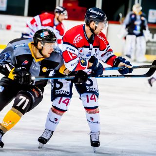 ALBATROS DE BREST VS ANGERS 23/10/18 - COUPE DE FRANCE - © Marion BESCOND