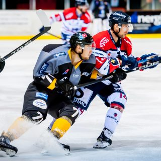 ALBATROS DE BREST VS ANGERS 23/10/18 - COUPE DE FRANCE - © Marion BESCOND