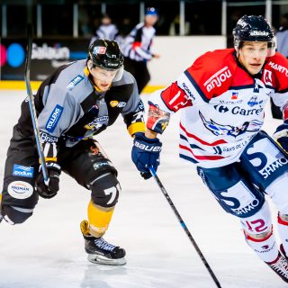 ALBATROS DE BREST VS ANGERS 23/10/18 - COUPE DE FRANCE - © Marion BESCOND