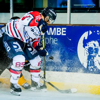 ALBATROS DE BREST VS ANGERS 23/10/18 - COUPE DE FRANCE - © Marion BESCOND