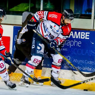 ALBATROS DE BREST VS ANGERS 23/10/18 - COUPE DE FRANCE - © Marion BESCOND