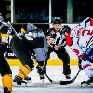 ALBATROS DE BREST VS ANGERS 23/10/18 - COUPE DE FRANCE - © Marion BESCOND