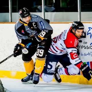 ALBATROS DE BREST VS ANGERS 23/10/18 - COUPE DE FRANCE - © Marion BESCOND