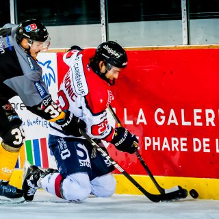 ALBATROS DE BREST VS ANGERS 23/10/18 - COUPE DE FRANCE - © Marion BESCOND