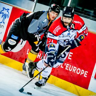 ALBATROS DE BREST VS ANGERS 23/10/18 - COUPE DE FRANCE - © Marion BESCOND