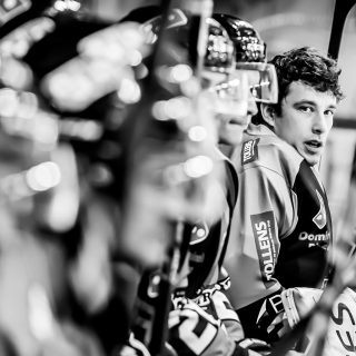 ALBATROS DE BREST VS ANGERS 23/10/18 - COUPE DE FRANCE - © Marion BESCOND