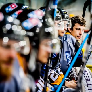 ALBATROS DE BREST VS ANGERS 23/10/18 - COUPE DE FRANCE - © Marion BESCOND