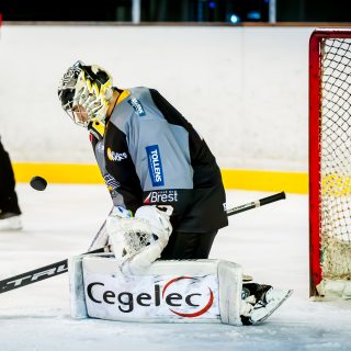 ALBATROS DE BREST VS ANGERS 23/10/18 - COUPE DE FRANCE - © Marion BESCOND