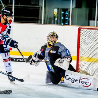 ALBATROS DE BREST VS ANGERS 23/10/18 - COUPE DE FRANCE - © Marion BESCOND