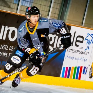 ALBATROS DE BREST VS ANGERS 23/10/18 - COUPE DE FRANCE - © Marion BESCOND