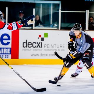 ALBATROS DE BREST VS ANGERS 23/10/18 - COUPE DE FRANCE - © Marion BESCOND