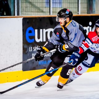 ALBATROS DE BREST VS ANGERS 23/10/18 - COUPE DE FRANCE - © Marion BESCOND