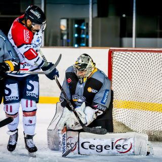 ALBATROS DE BREST VS ANGERS 23/10/18 - COUPE DE FRANCE - © Marion BESCOND
