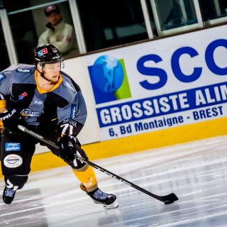 ALBATROS DE BREST VS ANGERS 23/10/18 - COUPE DE FRANCE - © Marion BESCOND