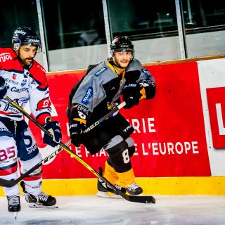 ALBATROS DE BREST VS ANGERS 23/10/18 - COUPE DE FRANCE - © Marion BESCOND
