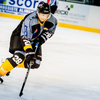 ALBATROS DE BREST VS ANGERS 23/10/18 - COUPE DE FRANCE - © Marion BESCOND