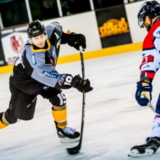 ALBATROS DE BREST VS ANGERS 23/10/18 - COUPE DE FRANCE - © Marion BESCOND