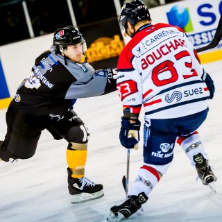 ALBATROS DE BREST VS ANGERS 23/10/18 - COUPE DE FRANCE - © Marion BESCOND