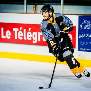 ALBATROS DE BREST VS ANGERS 23/10/18 - COUPE DE FRANCE - © Marion BESCOND