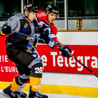 ALBATROS DE BREST VS ANGERS 23/10/18 - COUPE DE FRANCE - © Marion BESCOND