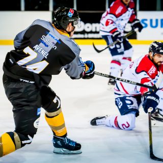 ALBATROS DE BREST VS ANGERS 23/10/18 - COUPE DE FRANCE - © Marion BESCOND