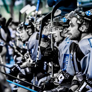 ALBATROS DE BREST VS ANGERS 23/10/18 - COUPE DE FRANCE - © Marion BESCOND