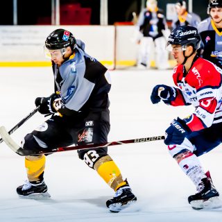 ALBATROS DE BREST VS ANGERS 23/10/18 - COUPE DE FRANCE - © Marion BESCOND