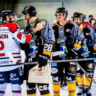 ALBATROS DE BREST VS ANGERS 23/10/18 - COUPE DE FRANCE - © Marion BESCOND