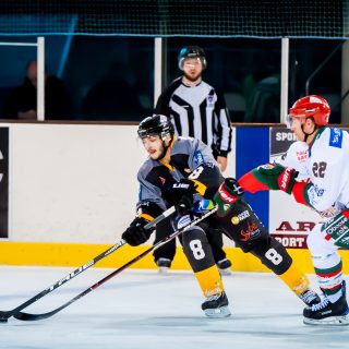 ALBATROS DE BREST VS LES YETIS DE MONT-BLANC 27/10/18 - © Marion BESCOND