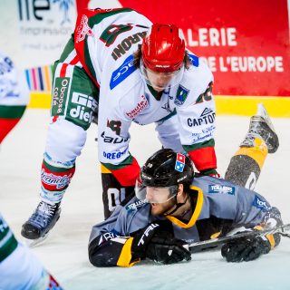ALBATROS DE BREST VS LES YETIS DE MONT-BLANC 27/10/18 - © Marion BESCOND