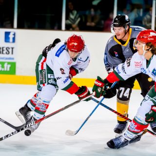 ALBATROS DE BREST VS LES YETIS DE MONT-BLANC 27/10/18 - © Marion BESCOND