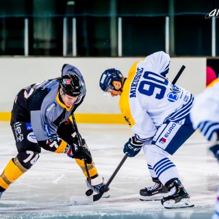 ALBATROS DE BREST VS LES CORSAIRES DE DUNKERQUE 03/11/18 - © Marion BESCOND