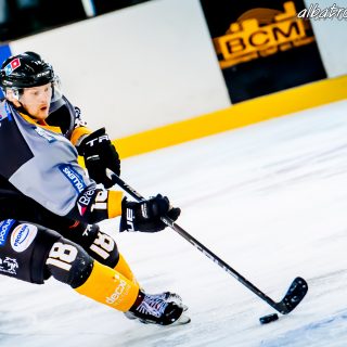 ALBATROS DE BREST VS LES CORSAIRES DE DUNKERQUE 03/11/18 - © Marion BESCOND
