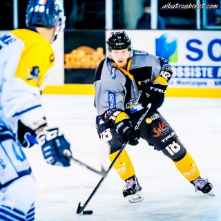 ALBATROS DE BREST VS LES CORSAIRES DE DUNKERQUE 03/11/18 - © Marion BESCOND