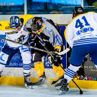 ALBATROS DE BREST VS LES CORSAIRES DE DUNKERQUE 03/11/18 - © Marion BESCOND