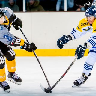ALBATROS DE BREST VS LES CORSAIRES DE DUNKERQUE 03/11/18 - © Marion BESCOND