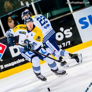 ALBATROS DE BREST VS LES CORSAIRES DE DUNKERQUE 03/11/18 - © Marion BESCOND
