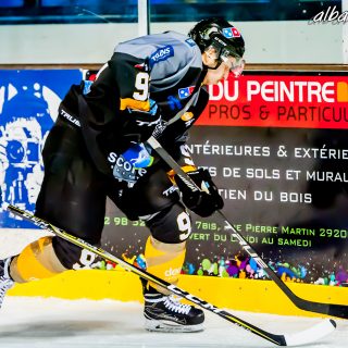 ALBATROS DE BREST VS LES CORSAIRES DE DUNKERQUE 03/11/18 - © Marion BESCOND